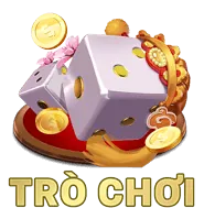 Các loại Cookie khác nhau được new889 đăng nhập sử dụng